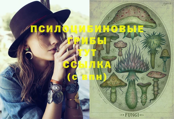 шишки Алзамай