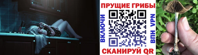 магазин продажи наркотиков  даркнет Telegram  Галлюциногенные грибы мухоморы  Бахчисарай 